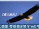 ★琴奨菊を感動させた動画「鷹の選択」はウソ！、と嗤う（わらう）テレビ朝日の不見識
